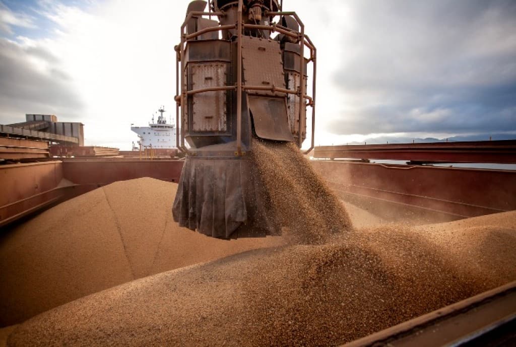 Brasil exporta soja récord a China mientras Argentina pierde 28% del mercado