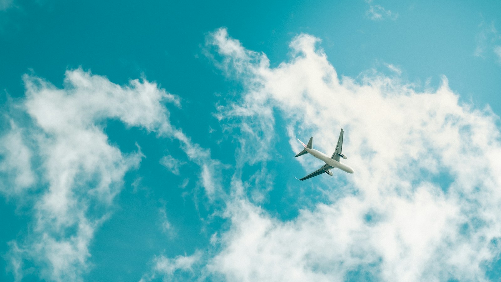 Imagen referencial · El aceite de fritura chino alimenta aviones y aporta el 40% del mercado mundial